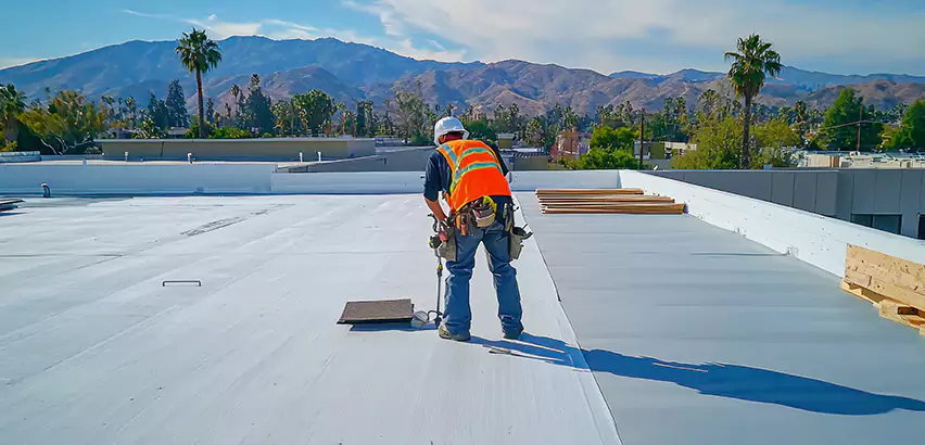 Professional Roof Coating Services in Glendale Heights, IL