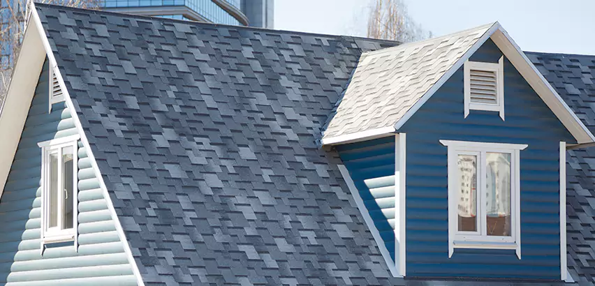 Shingle Roof Maintenance in Glendale Heights