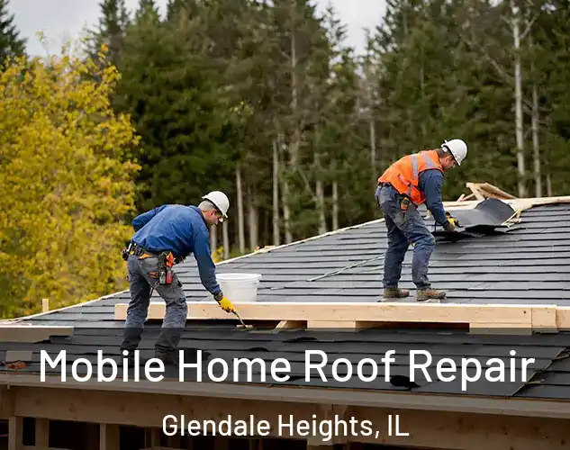  Mobile Home Roof Repair Glendale Heights, IL