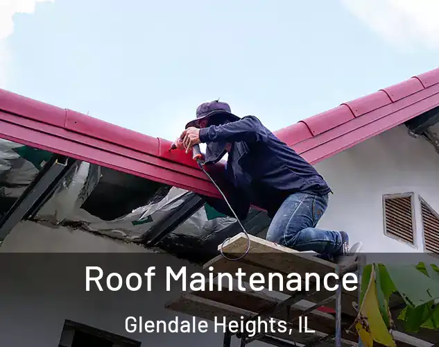  Roof Maintenance Glendale Heights, IL